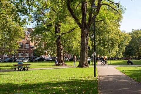 A sunny park