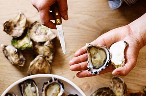 Chef prepping oysters