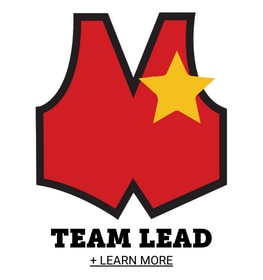 Team Lead