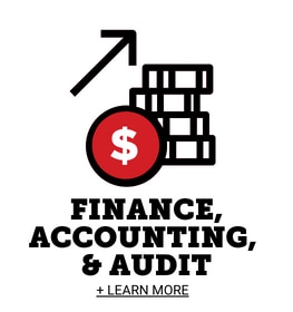 Finance, Accounting & Audit