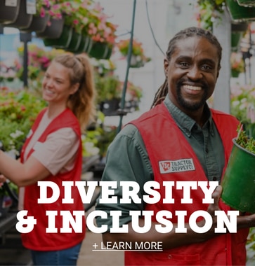 Diversity & Inclusion