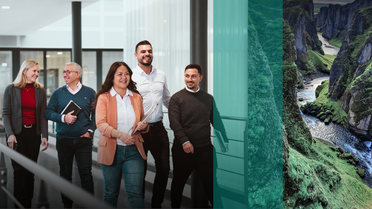 Vaillant Group