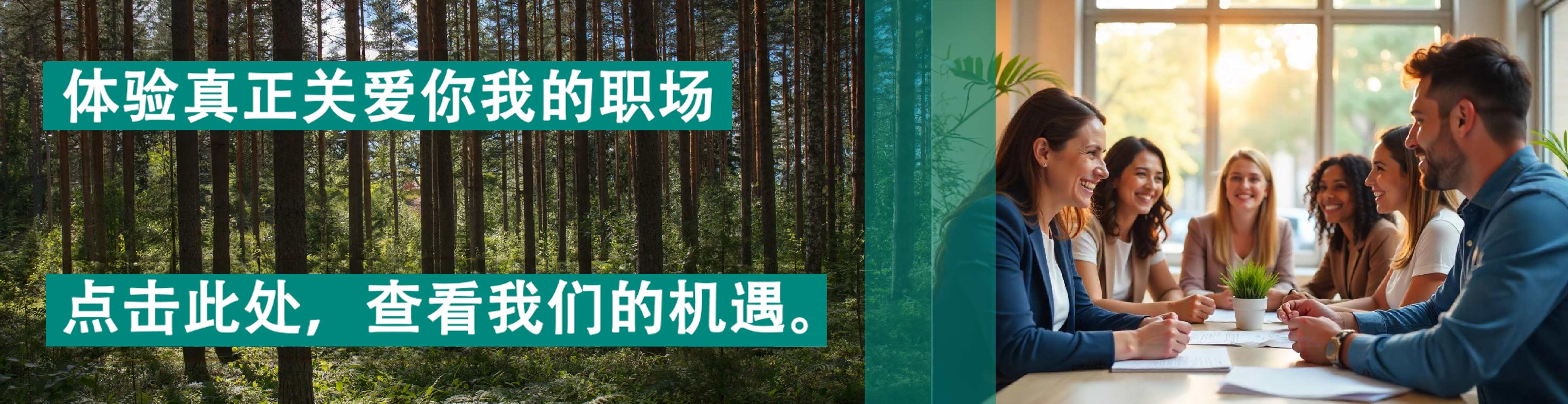Vaillant Group