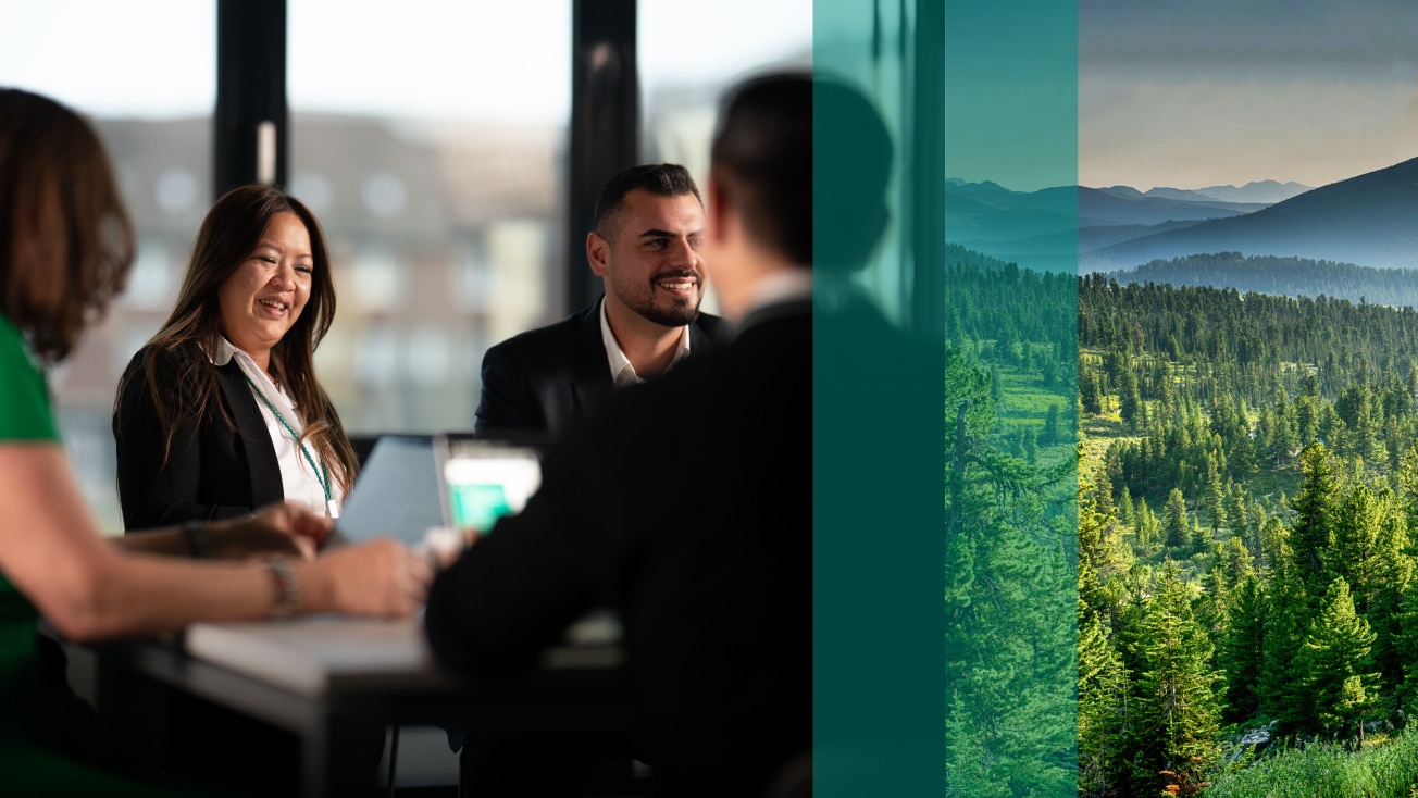 Vaillant Group