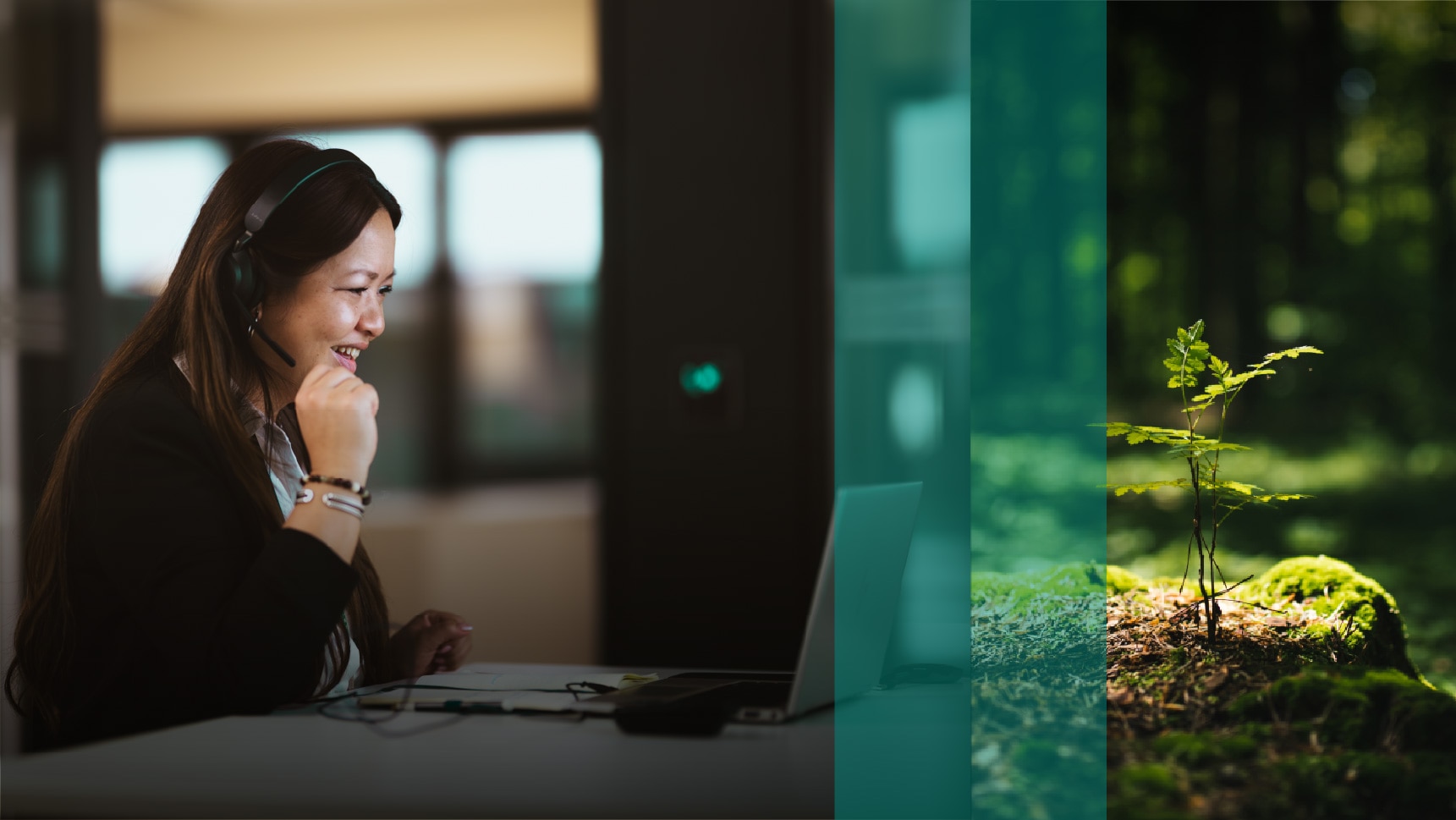 Vaillant Group
