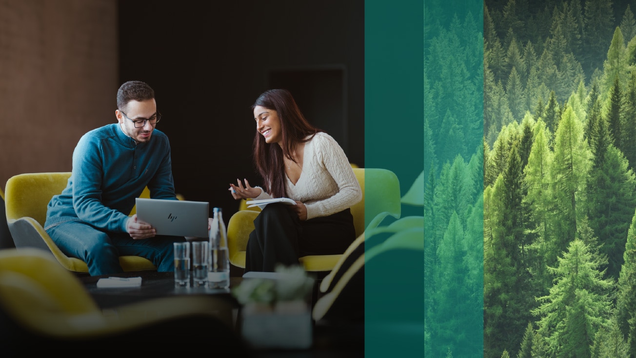 Vaillant Group