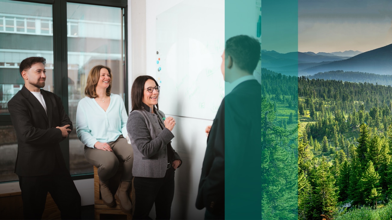 Vaillant Group