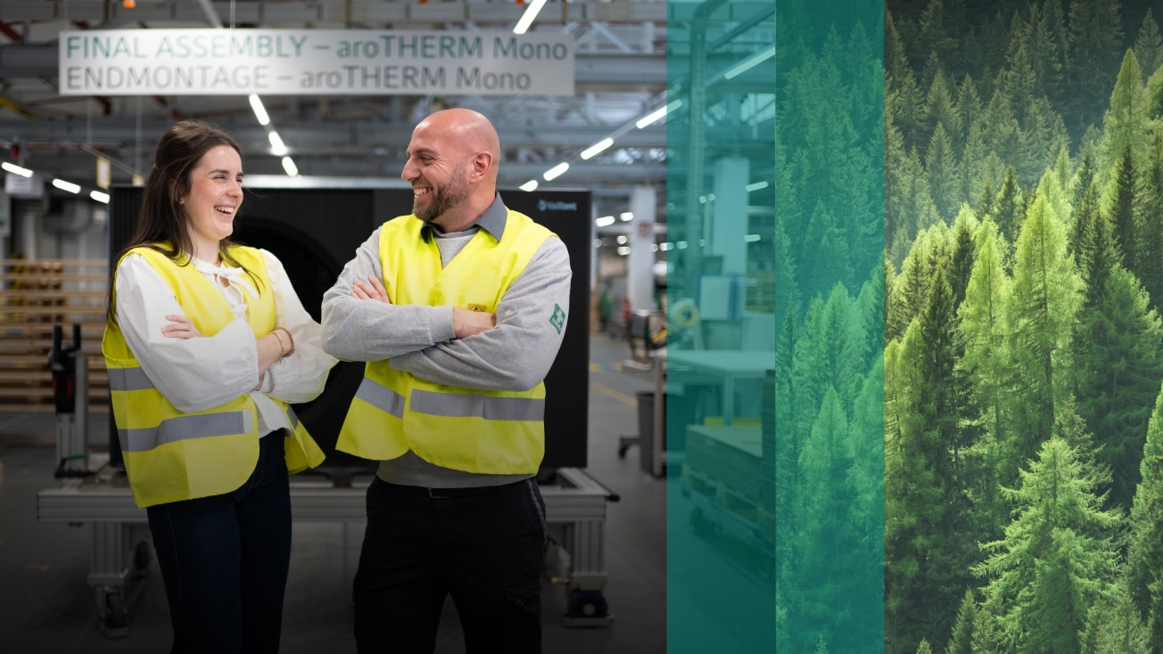 Vaillant Group