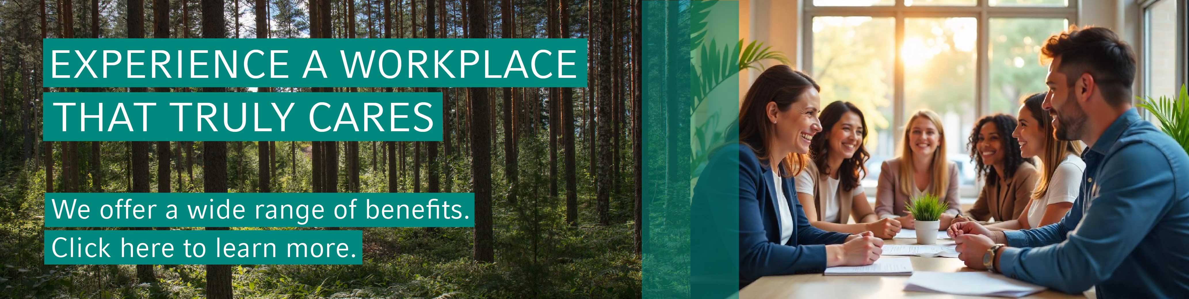 Vaillant Group