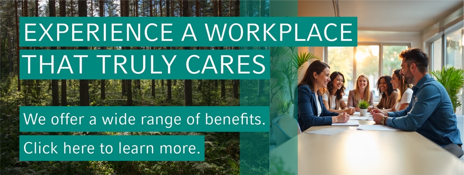 Vaillant Group