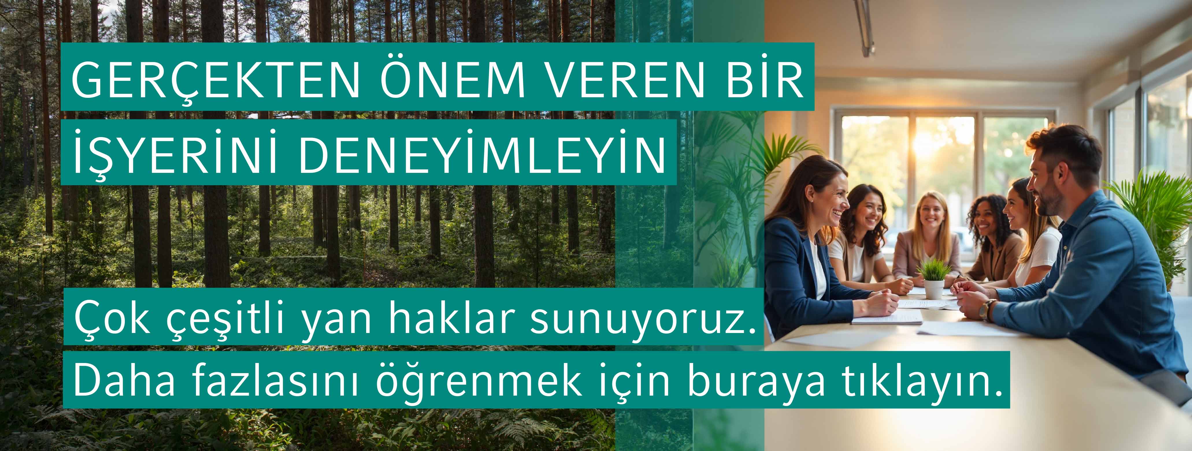 Vaillant Group Vaillant Group