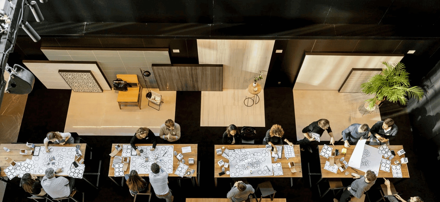 Proceso de selección