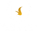 VinSchool