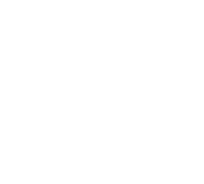 ícone