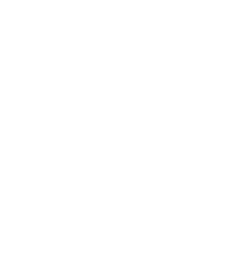 ícone