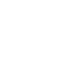 ícone