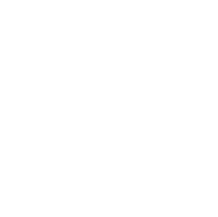 ícone