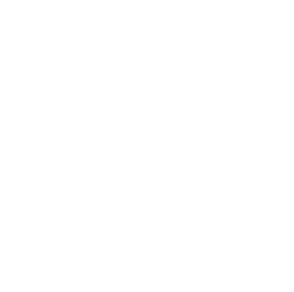 ícone
