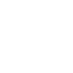 ícone
