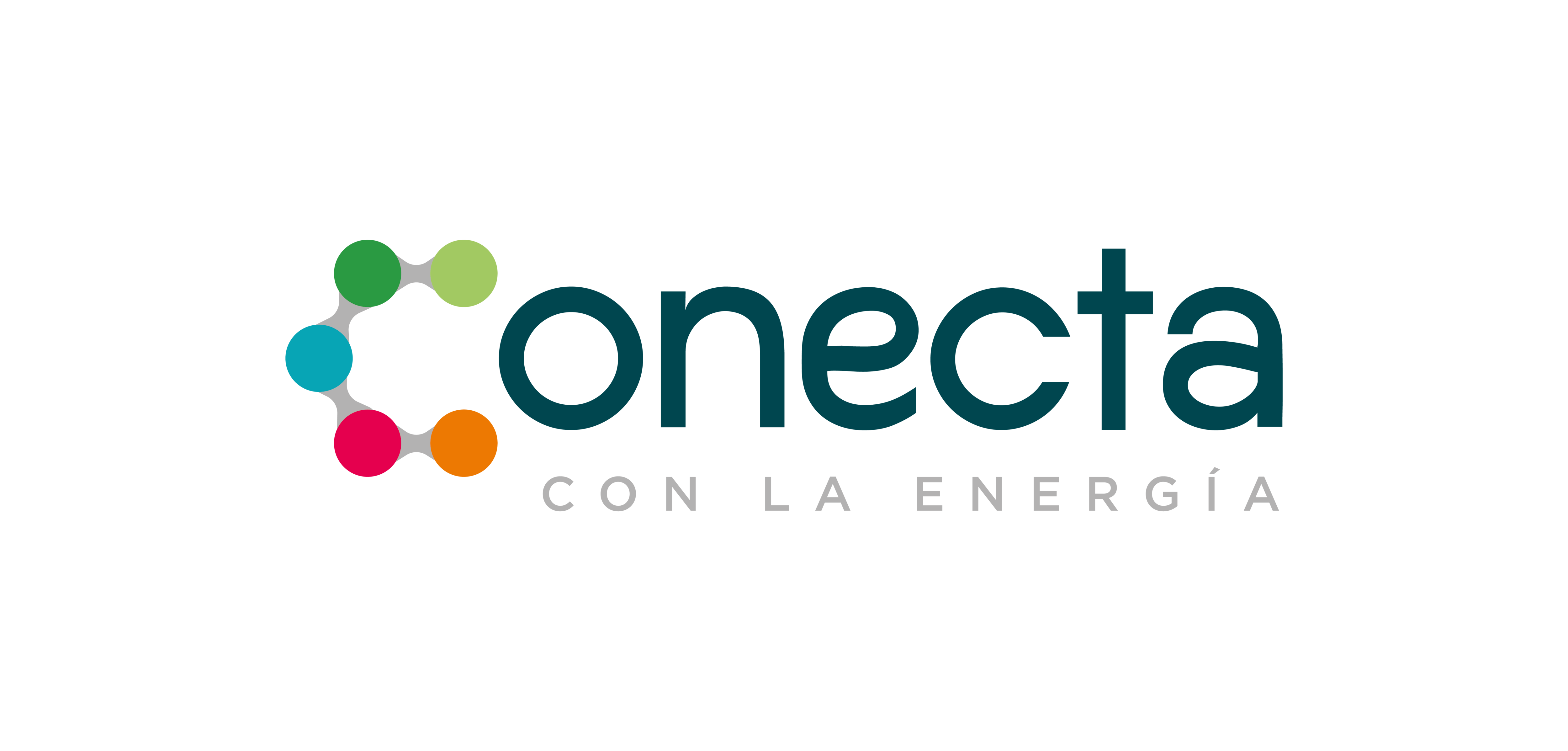 Logo Conecta