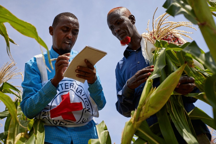 Economic and Food Security
