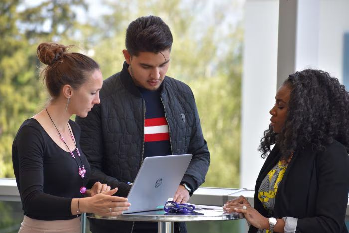 Associates and trainees