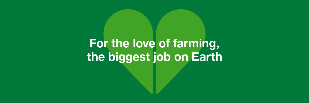 The picture shows a green background with a central heart symbol. Inside the heart is written in white:
