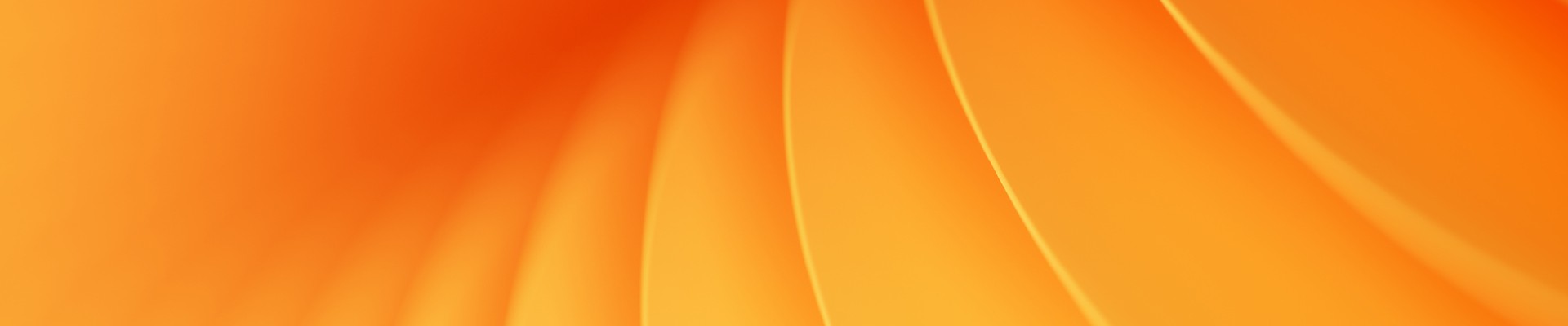banner img desktop