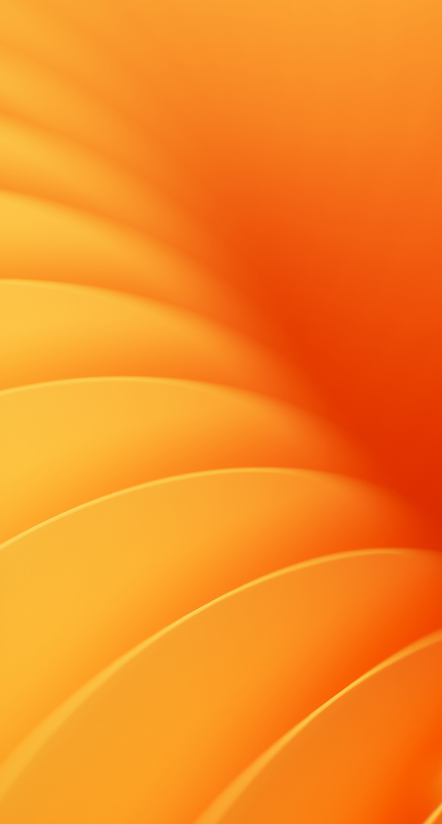 banner img mobile