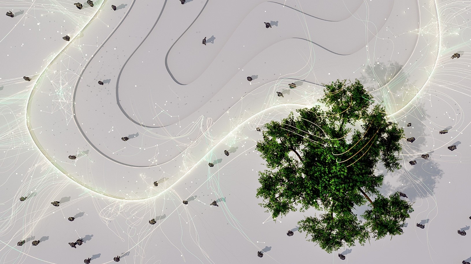 Foto aerea di un albero