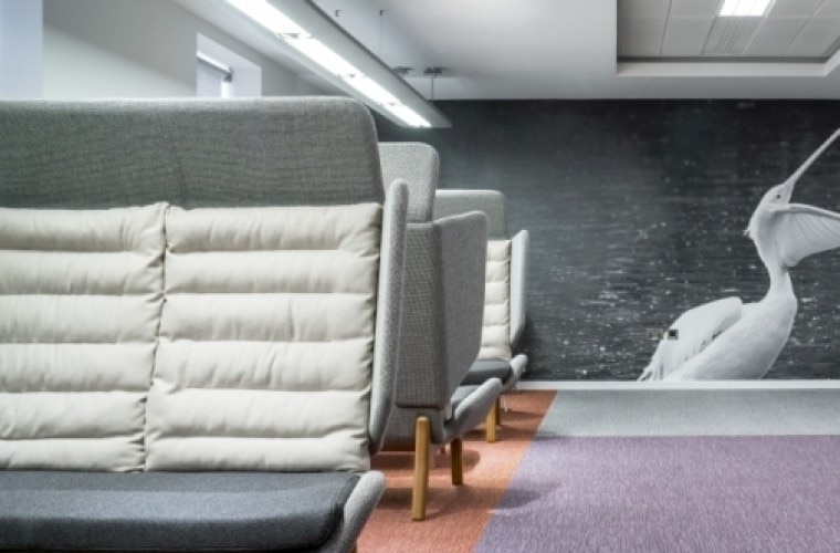 A seating area with large grey coloured sofas and a mural on the wall of two pelicans.