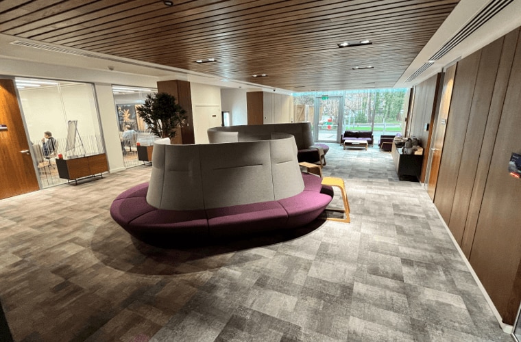 An open plan area with large grey and purple coloured sofas, with wood panelling on the walls and ceilings, with a large window at the far side.