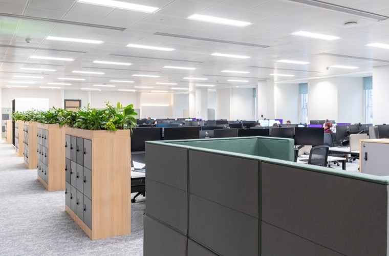 A light and bright open office space with plants.