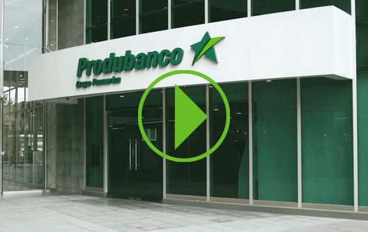 Imagen Video