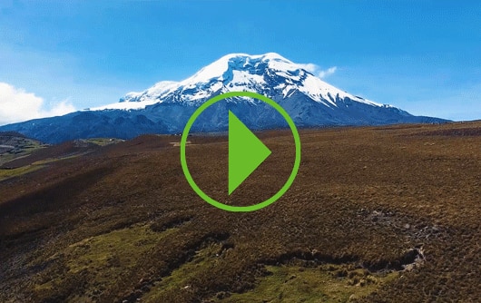 Imagen Video