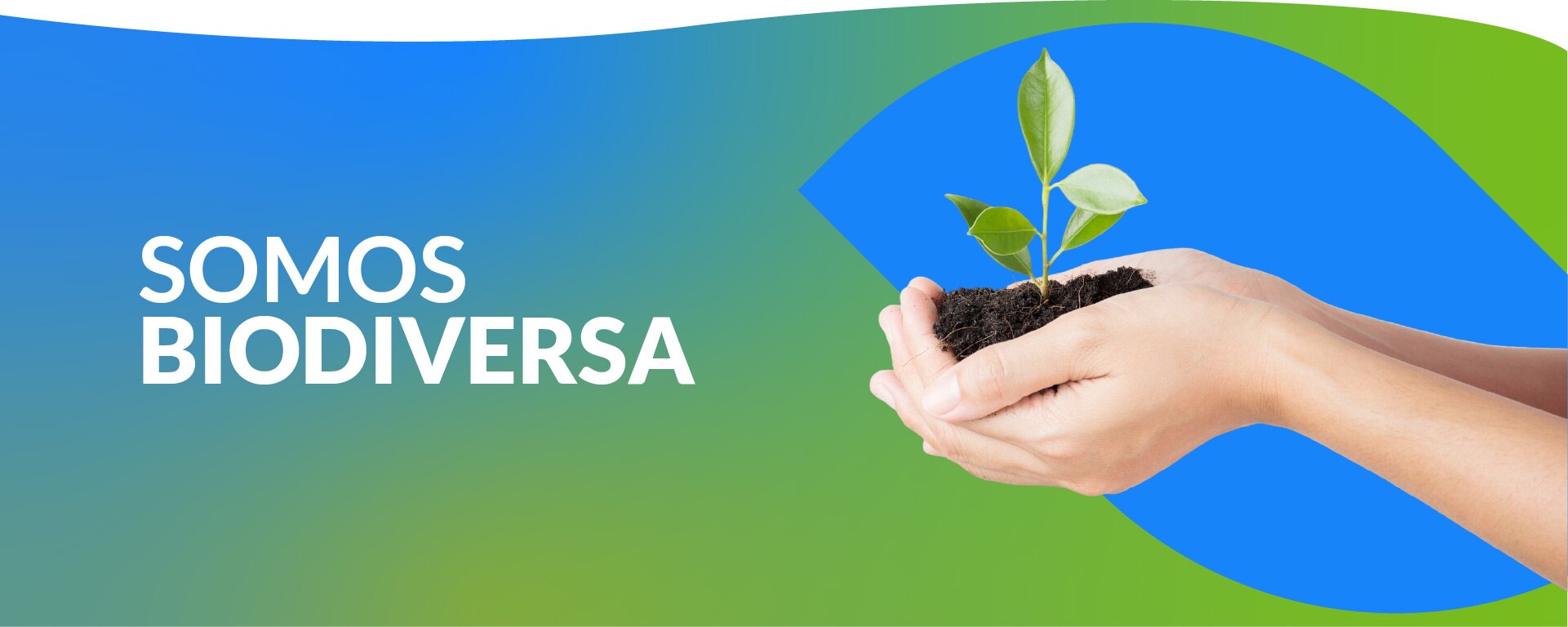 Trabaja con nosotros - La sanitaria más grande de regiones