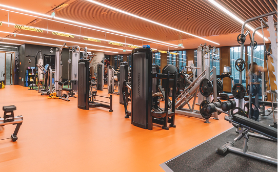 Fitness facilities supporting physical health and wellness