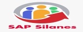 LOGO SILANES