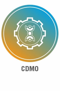 CDMO