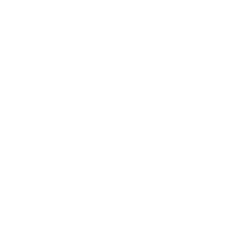 Professional Services