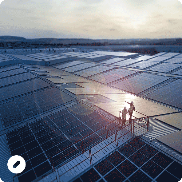 Sustainability Focus