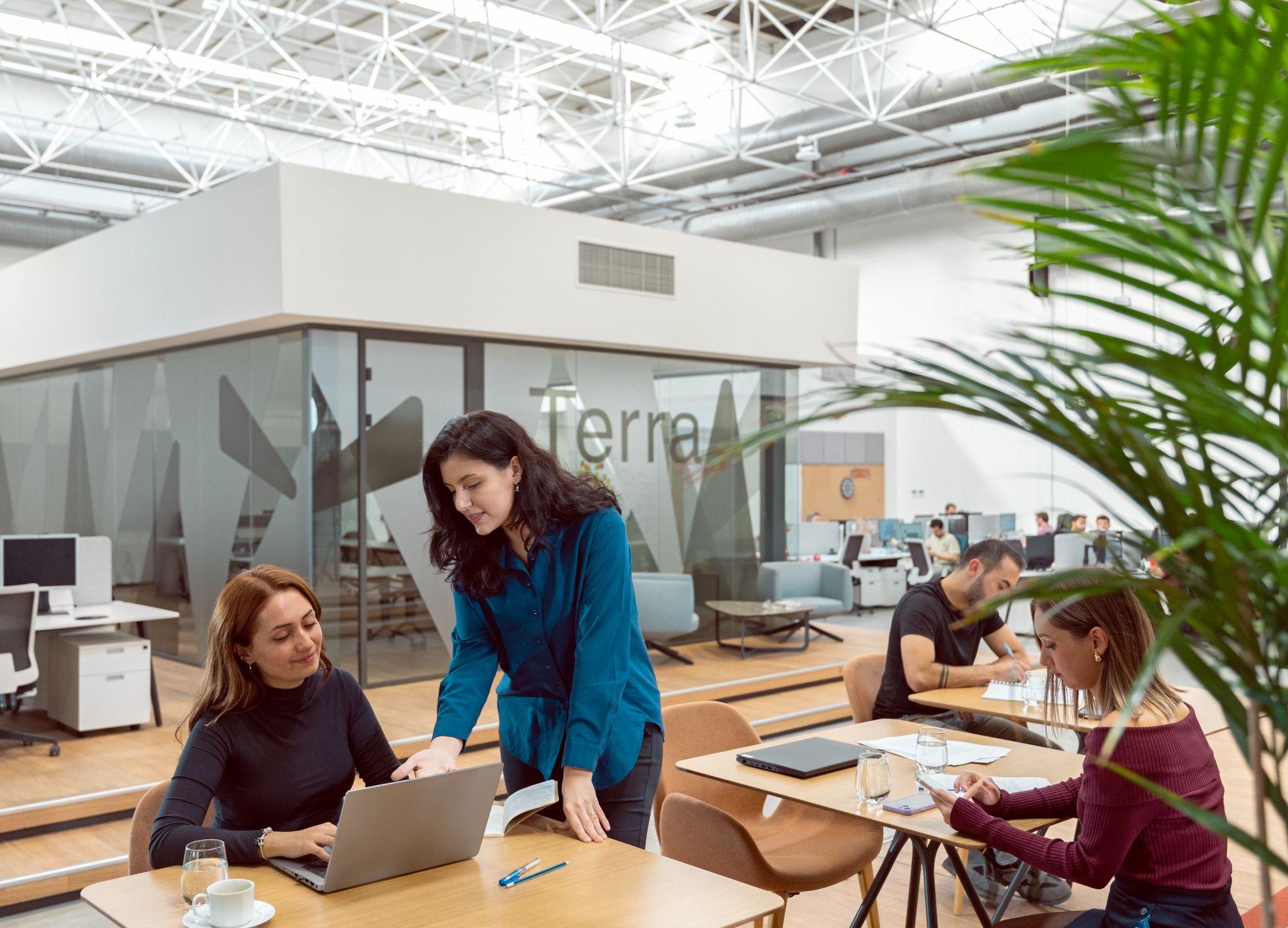 Teams within Finance & Accounting