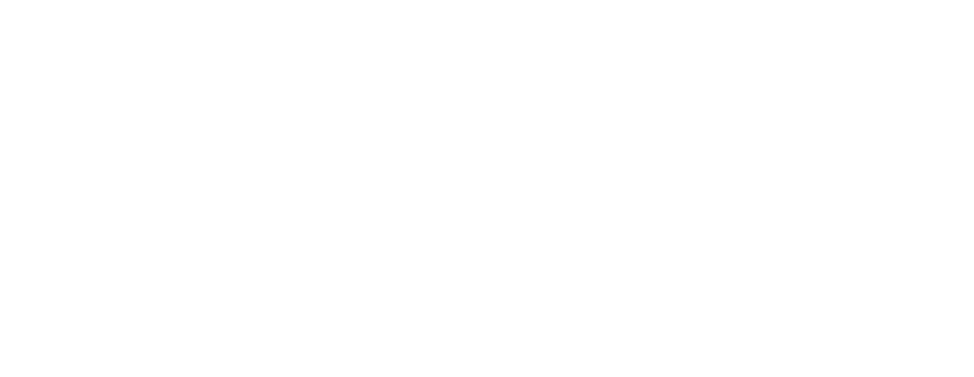 Koç 100. Yı