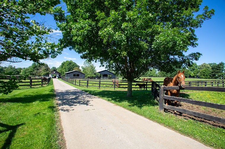 Beautiful horse farm in Kentucky.