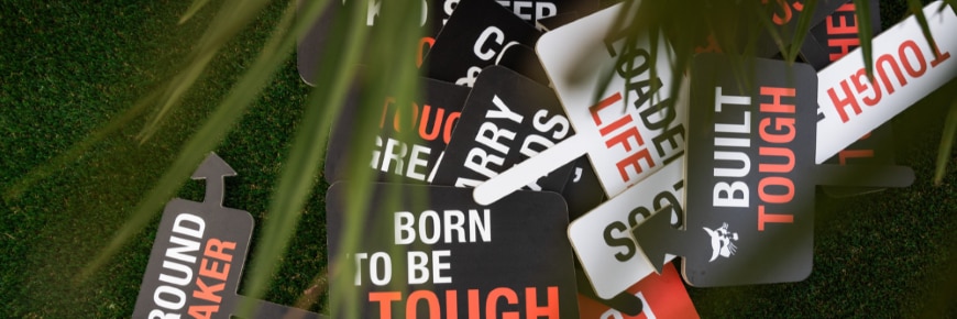 Unearth Your Potential