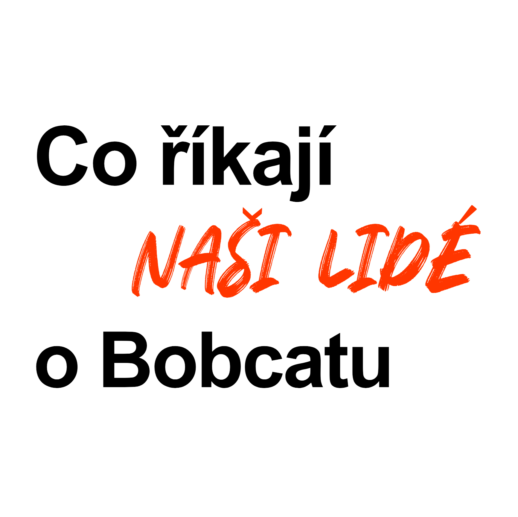 what our people say_cz