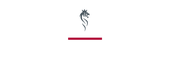 Scandinavian Tobacco Group