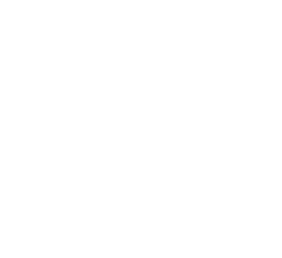 Interpol