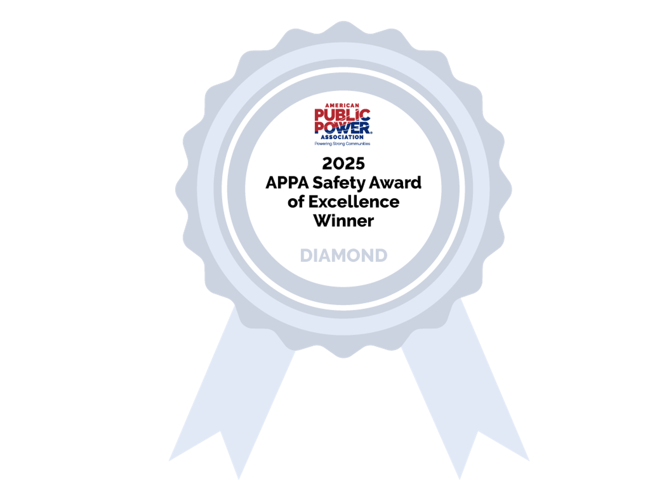 LES was recognized with APPA's Safety Award of Excellence.