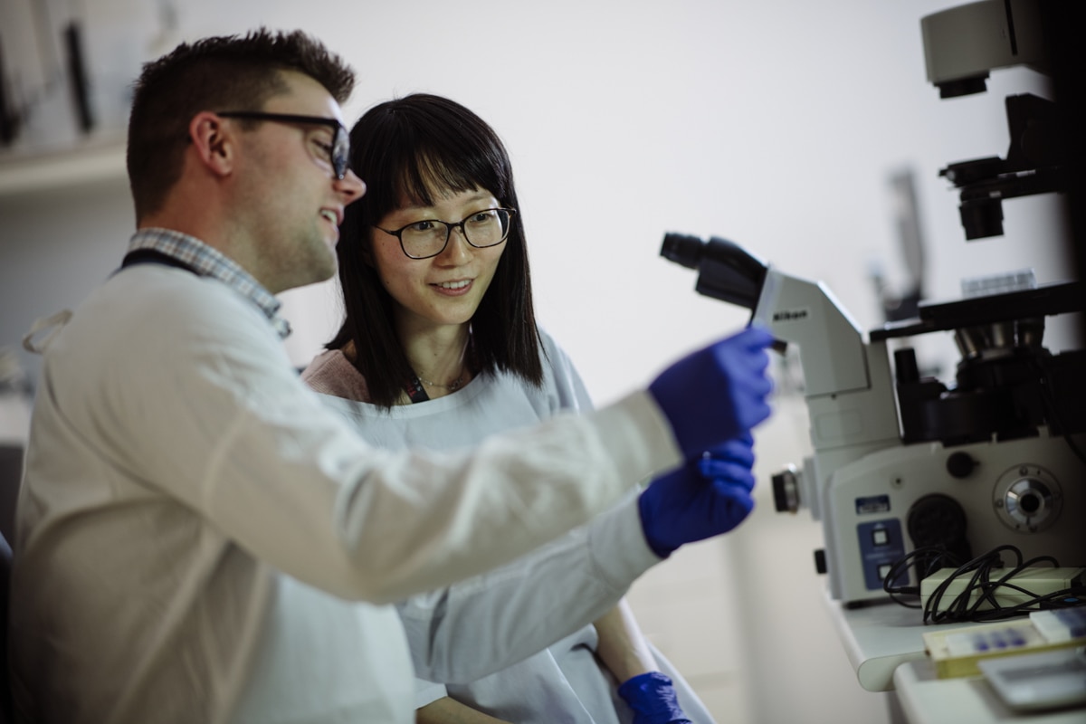 A medical researcher in a lab